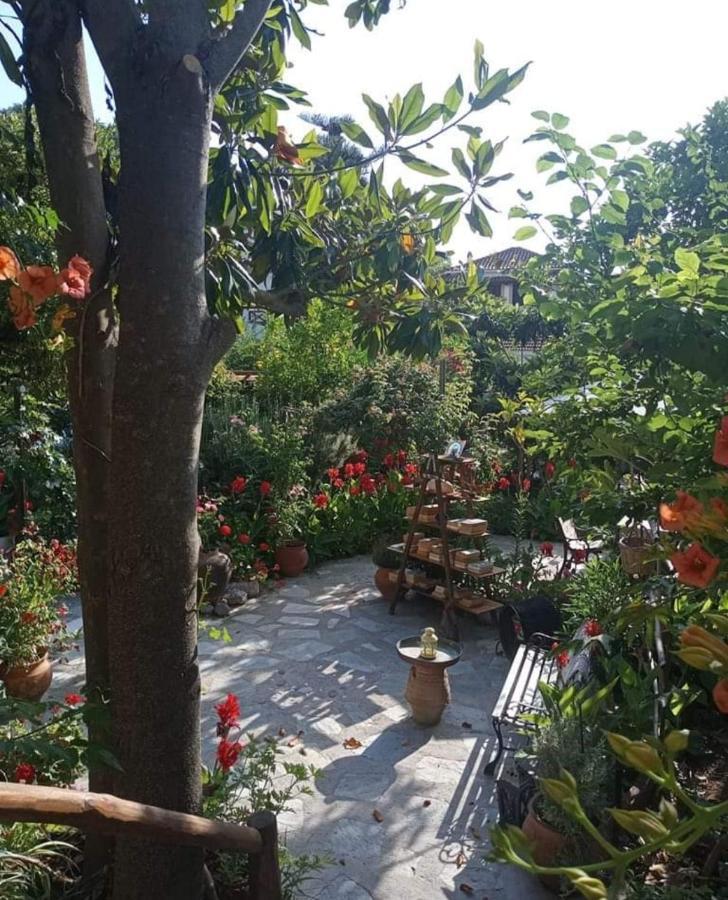 Stamatia'S Garden Hotel Agnontas Exterior foto