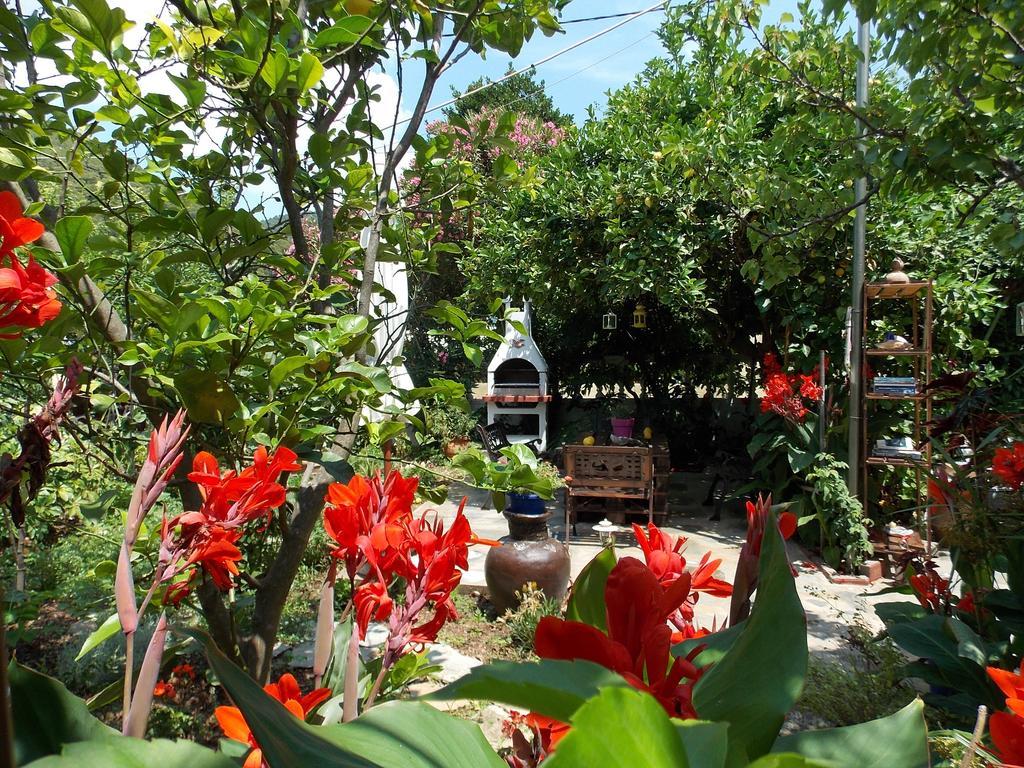 Stamatia'S Garden Hotel Agnontas Exterior foto