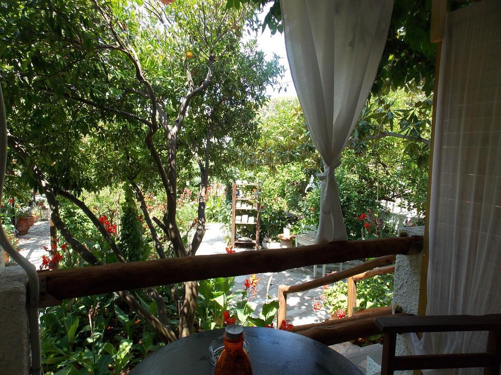 Stamatia'S Garden Hotel Agnontas Exterior foto