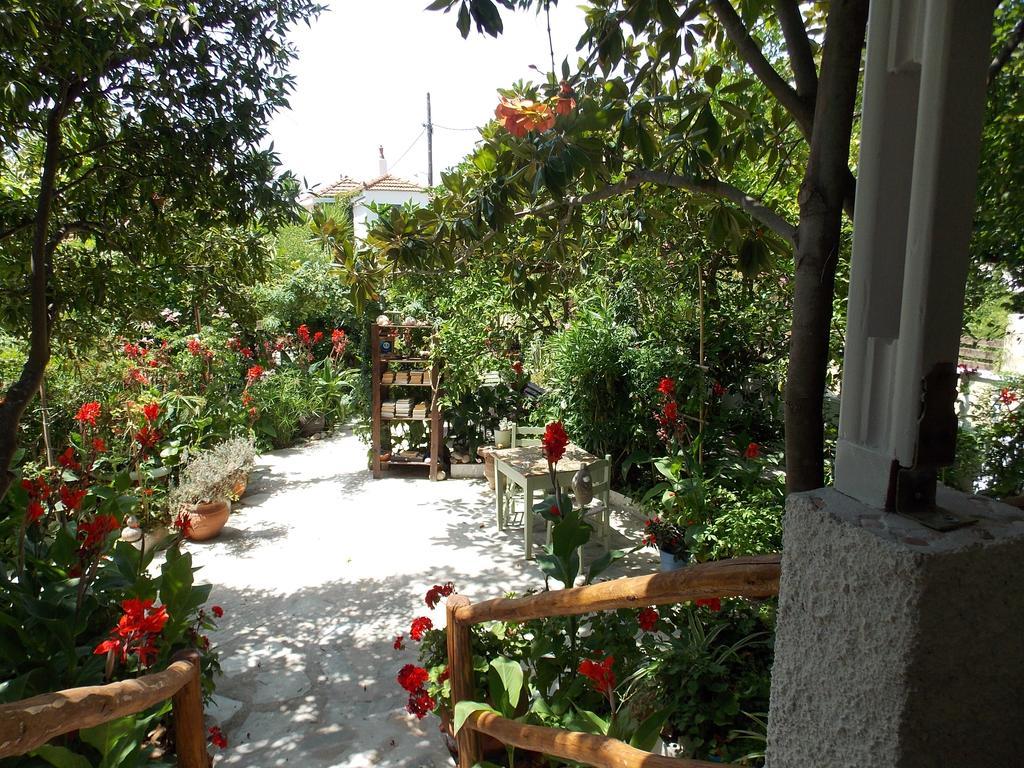 Stamatia'S Garden Hotel Agnontas Exterior foto