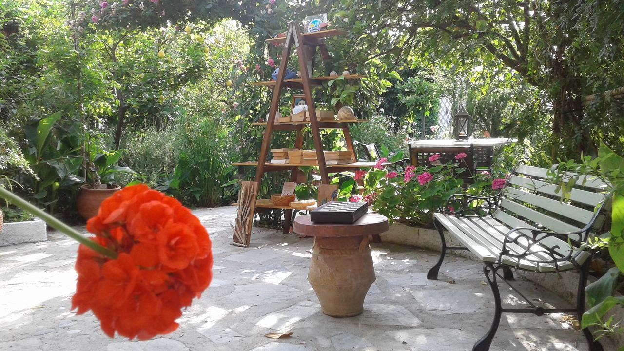 Stamatia'S Garden Hotel Agnontas Exterior foto