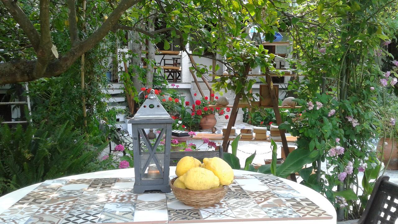 Stamatia'S Garden Hotel Agnontas Exterior foto