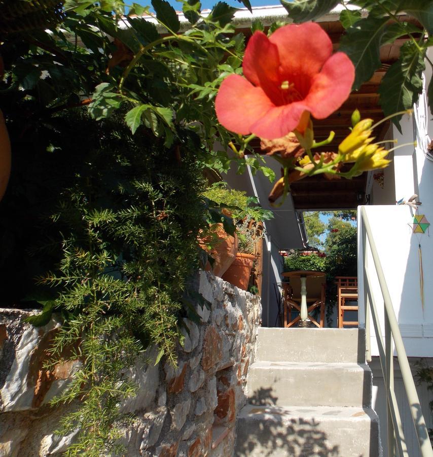 Stamatia'S Garden Hotel Agnontas Exterior foto