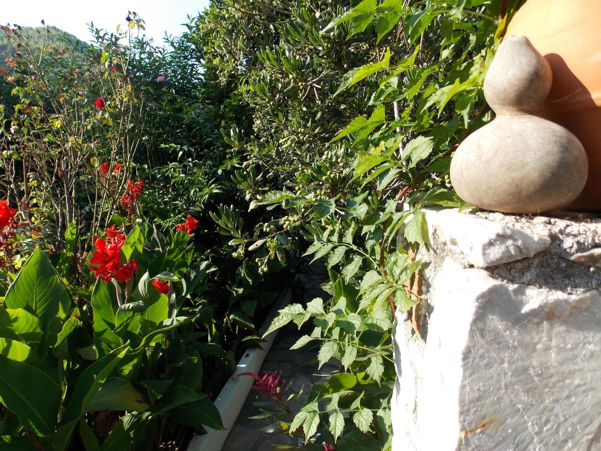 Stamatia'S Garden Hotel Agnontas Exterior foto