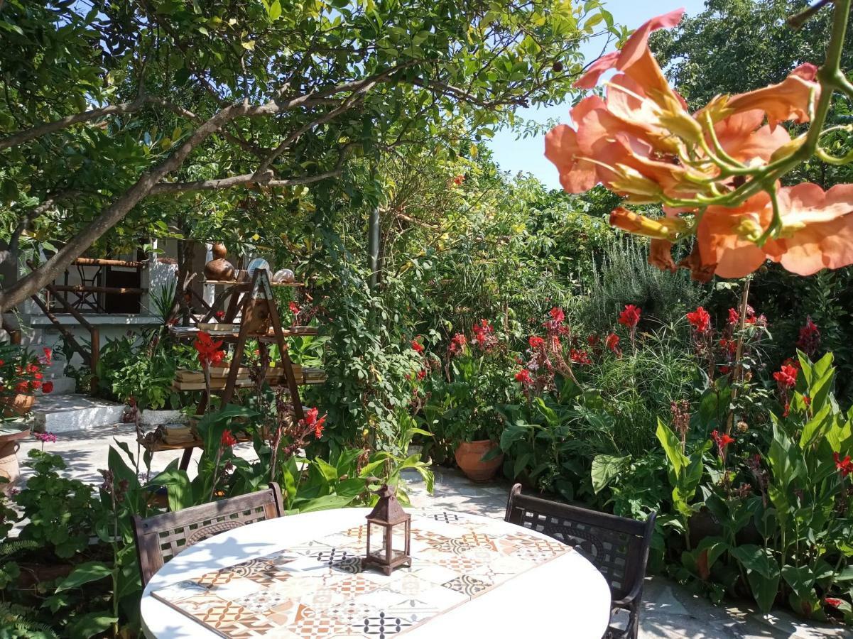Stamatia'S Garden Hotel Agnontas Exterior foto