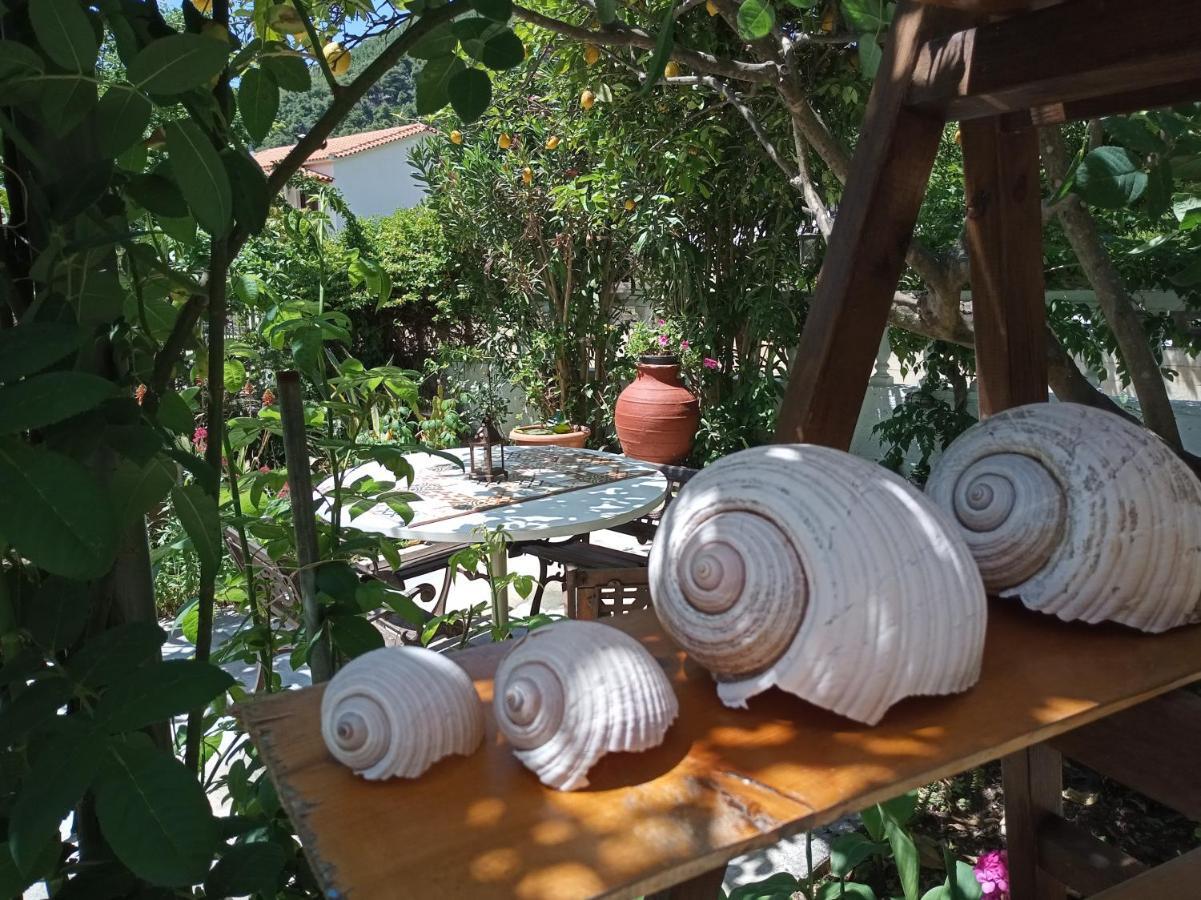 Stamatia'S Garden Hotel Agnontas Exterior foto