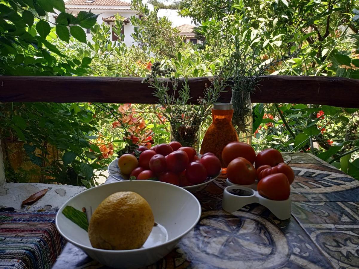 Stamatia'S Garden Hotel Agnontas Exterior foto