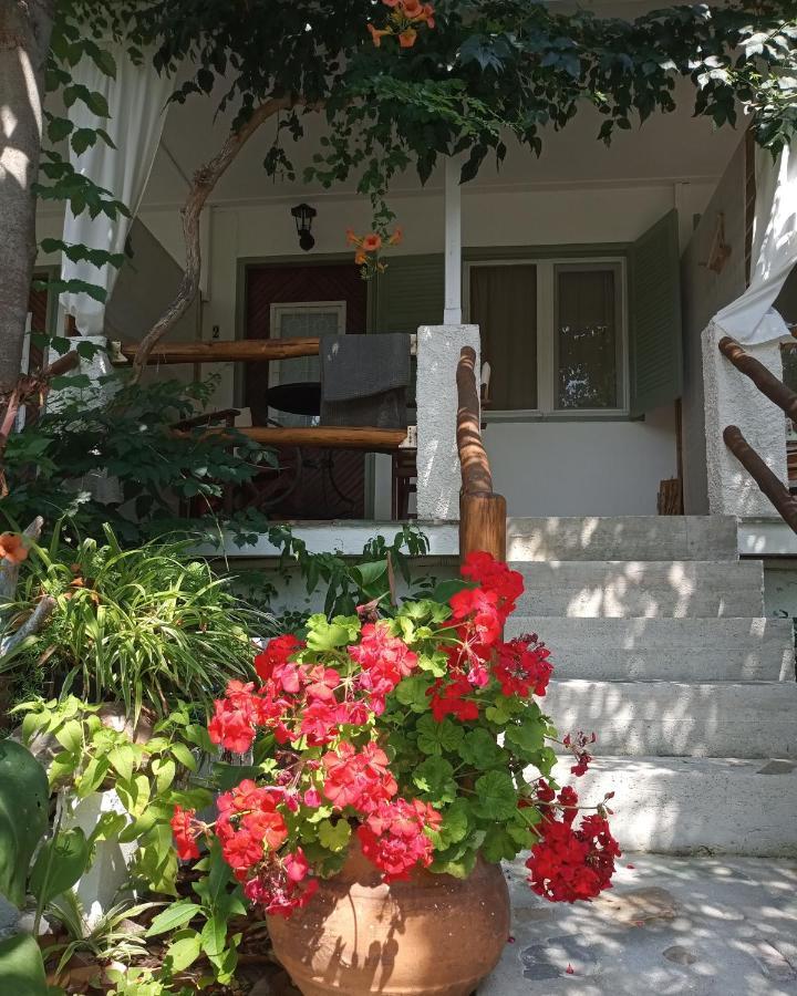 Stamatia'S Garden Hotel Agnontas Exterior foto